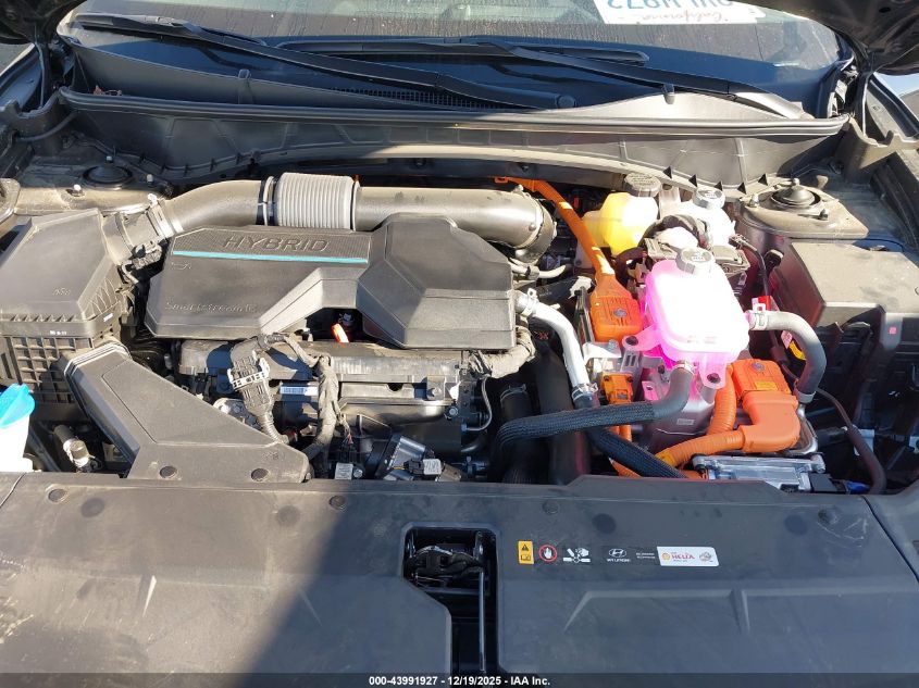 2025 Hyundai Tucson Hybrid Sel Convenience VIN: KM8JCDD12SU350808 Lot: 43991927
