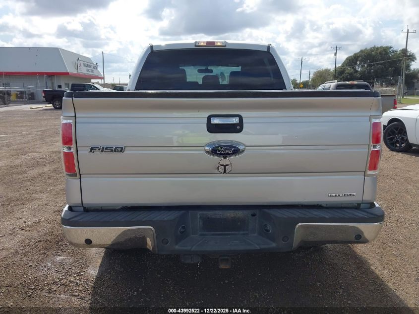 2014 Ford F-150 Xlt VIN: 1FTFW1EF5EFB68720 Lot: 43992522