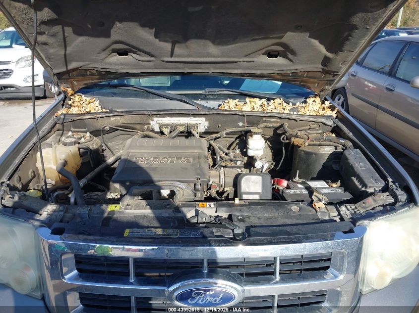 2010 Ford Escape Limited VIN: 1FMCU0EG5AKC65084 Lot: 43992615