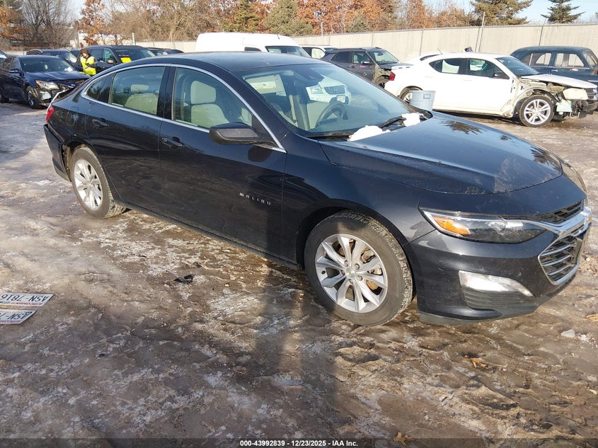 1G1ZD5ST0PF173078 2023 Chevrolet Malibu Fwd 1Lt auction photo 1