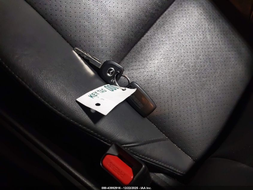 2009 Mazda Mazda3 S Grand Touring VIN: JM1BK343291231661 Lot: 43992916