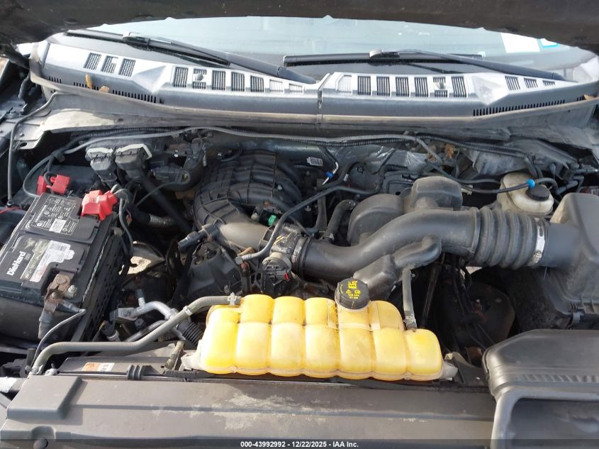 2015 Ford F-150 Xlt VIN: 1FTEW1E81FFC89534 Lot: 43992992