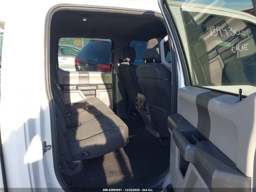 2019 Ford F-150 Xl VIN: 1FTEW1EP2KFB94711 Lot: 43993051