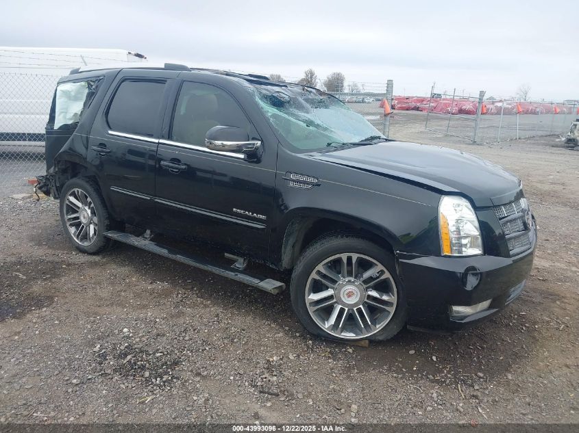 2013 Cadillac Escalade Premium VIN: 1GYS3CEF6DR115549 Lot: 43993096