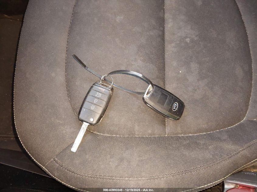 2015 Kia Soul + VIN: KNDJP3A51F7166717 Lot: 43993345