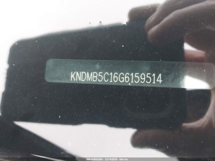 2016 Kia Sedona Lx VIN: KNDMB5C16G6159514 Lot: 43993380