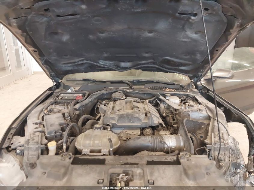 2019 Ford Mustang Ecoboost Premium VIN: 1FATP8UH3K5159257 Lot: 43993487