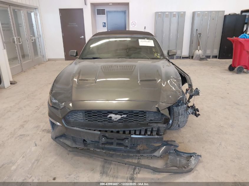 2019 Ford Mustang Ecoboost Premium VIN: 1FATP8UH3K5159257 Lot: 43993487