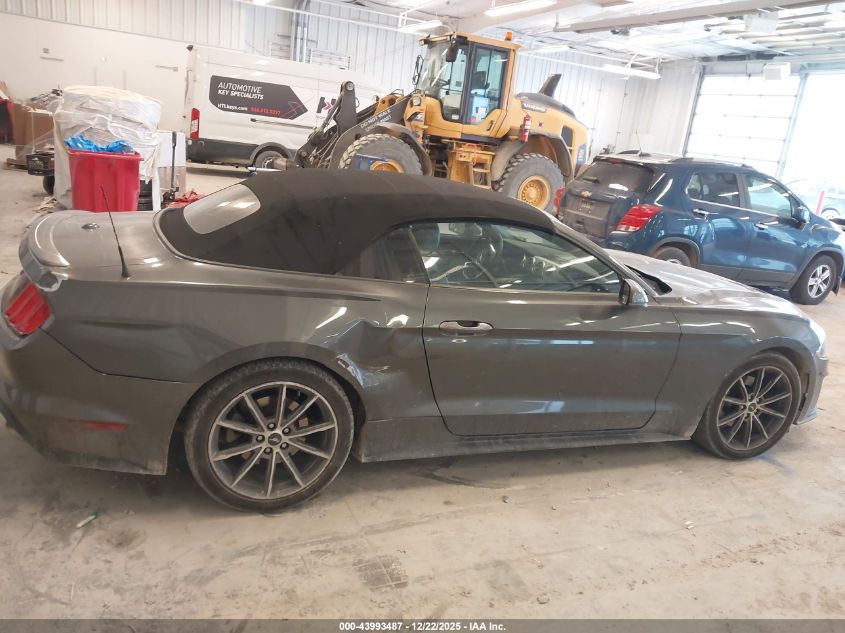 2019 Ford Mustang Ecoboost Premium VIN: 1FATP8UH3K5159257 Lot: 43993487