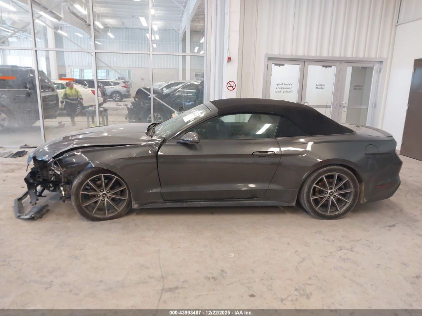 2019 Ford Mustang Ecoboost Premium VIN: 1FATP8UH3K5159257 Lot: 43993487