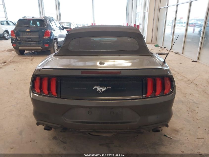 2019 Ford Mustang Ecoboost Premium VIN: 1FATP8UH3K5159257 Lot: 43993487
