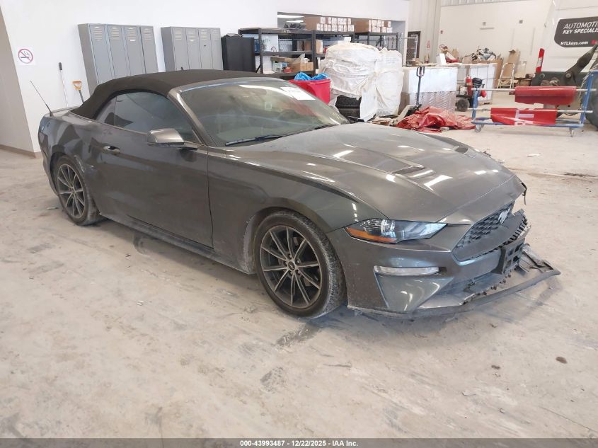 2019 Ford Mustang Ecoboost Premium VIN: 1FATP8UH3K5159257 Lot: 43993487