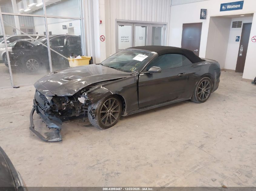 2019 Ford Mustang Ecoboost Premium VIN: 1FATP8UH3K5159257 Lot: 43993487