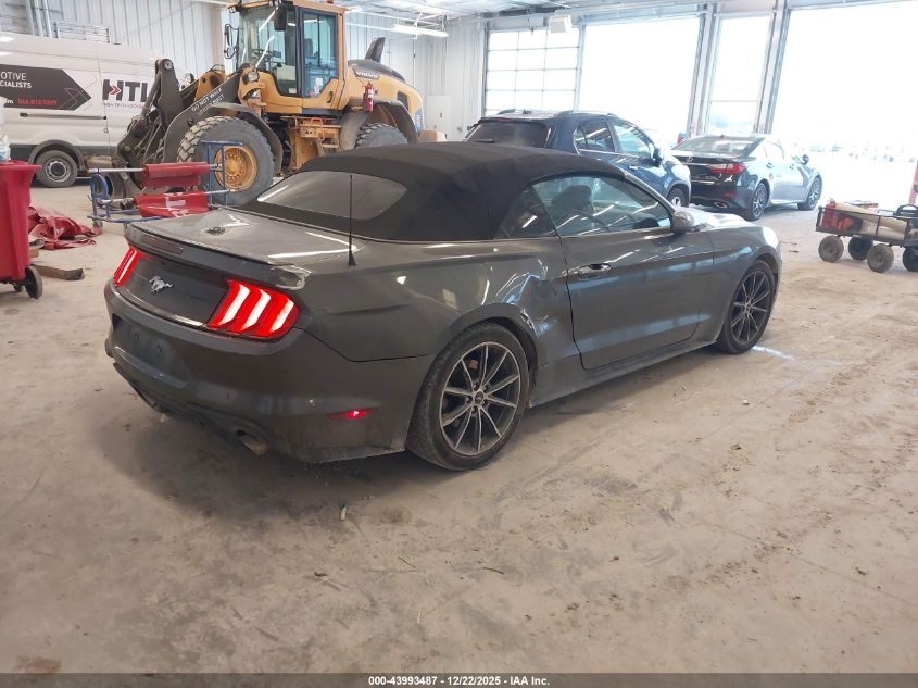 2019 Ford Mustang Ecoboost Premium VIN: 1FATP8UH3K5159257 Lot: 43993487