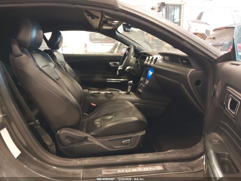 2019 Ford Mustang Ecoboost Premium VIN: 1FATP8UH3K5159257 Lot: 43993487