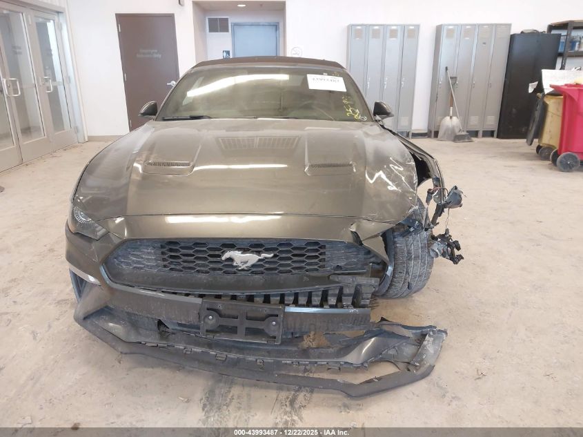 2019 Ford Mustang Ecoboost Premium VIN: 1FATP8UH3K5159257 Lot: 43993487