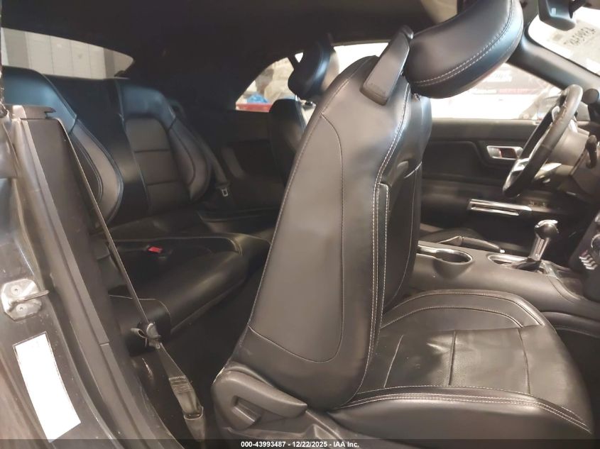 2019 Ford Mustang Ecoboost Premium VIN: 1FATP8UH3K5159257 Lot: 43993487