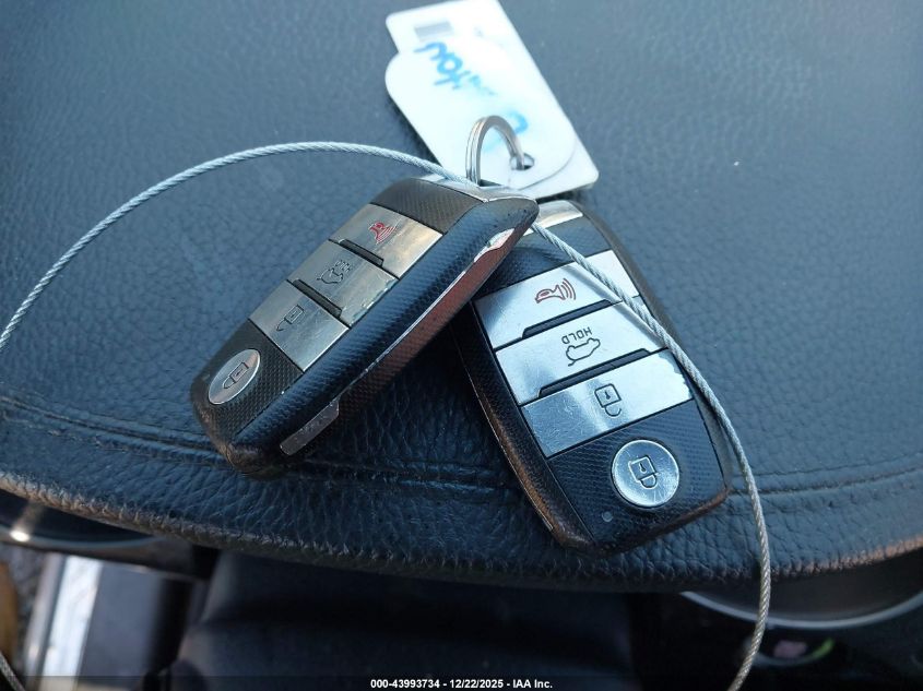 2014 Kia Sorento Limited V6 VIN: 5XYKWDA77EG451583 Lot: 43993734