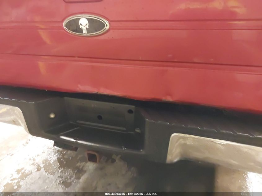 2009 Ford F-150 Stx/Xl/Xlt VIN: 1FTRF14W49KB04308 Lot: 43993755