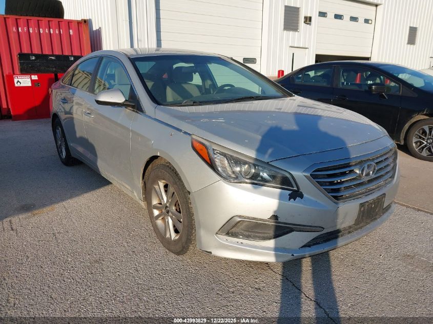 2017 Hyundai Sonata VIN: 5NPE24AF5HH446900 Lot: 43993829