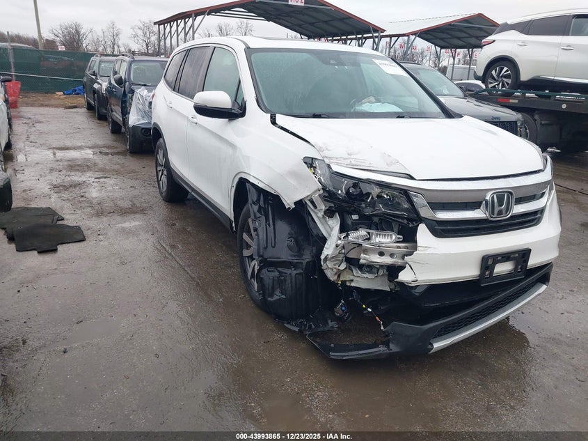 5FNYF6H52MB038146 2021 Honda Pilot Awd Ex-L auction photo 1