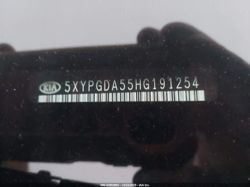 2017 Kia Sorento 3.3L Lx VIN: 5XYPGDA55HG191254 Lot: 43993993