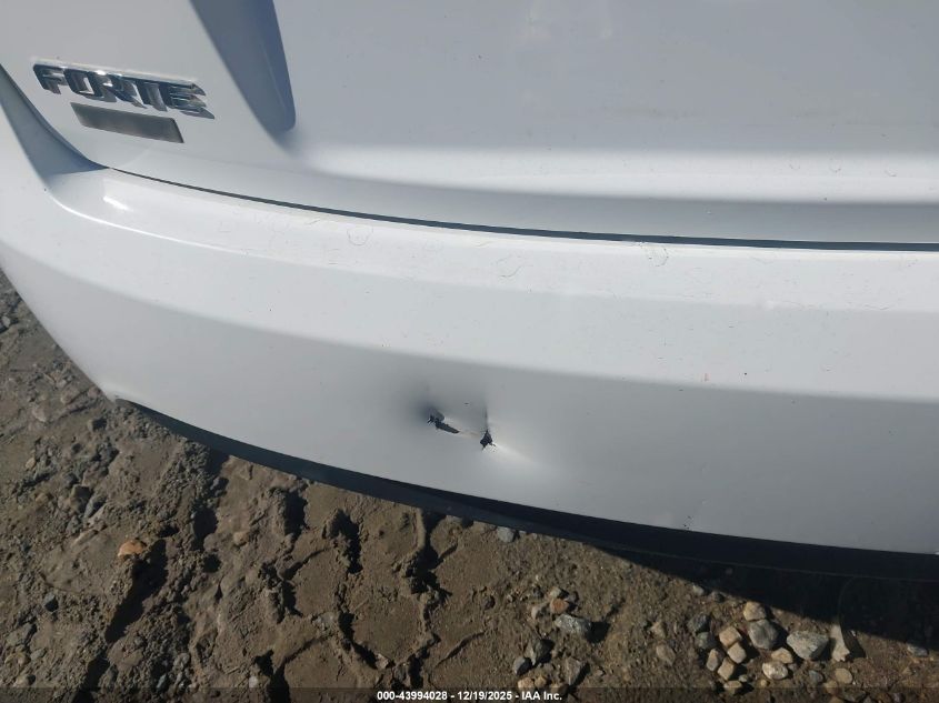 2010 Kia Forte Lx VIN: KNAFT4A22A5858709 Lot: 43994028