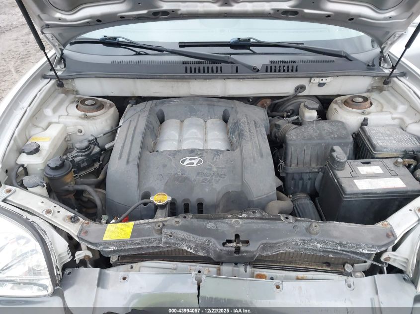 2003 Hyundai Santa Fe Gls/Lx VIN: KM8SC73D63U421303 Lot: 43994057