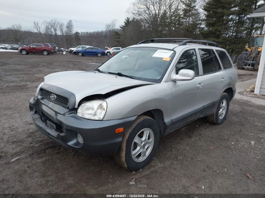 2003 Hyundai Santa Fe Gls/Lx VIN: KM8SC73D63U421303 Lot: 43994057