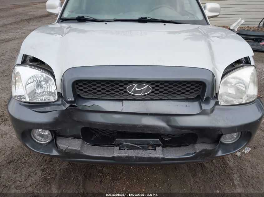 2003 Hyundai Santa Fe Gls/Lx VIN: KM8SC73D63U421303 Lot: 43994057