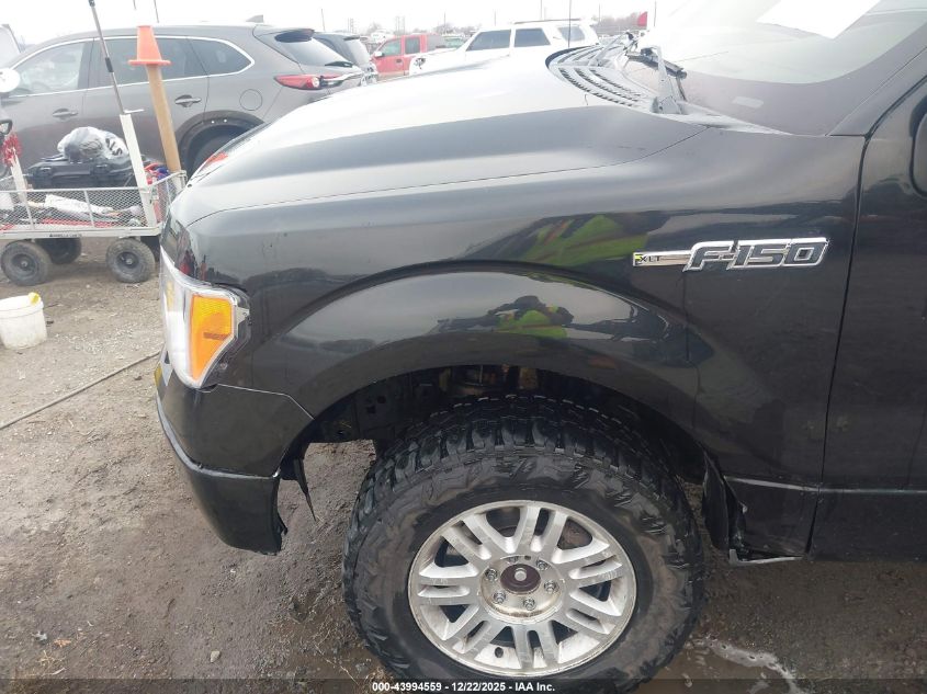 2014 Ford F-150 Xlt VIN: 1FTFX1EF4EFA41504 Lot: 43994559