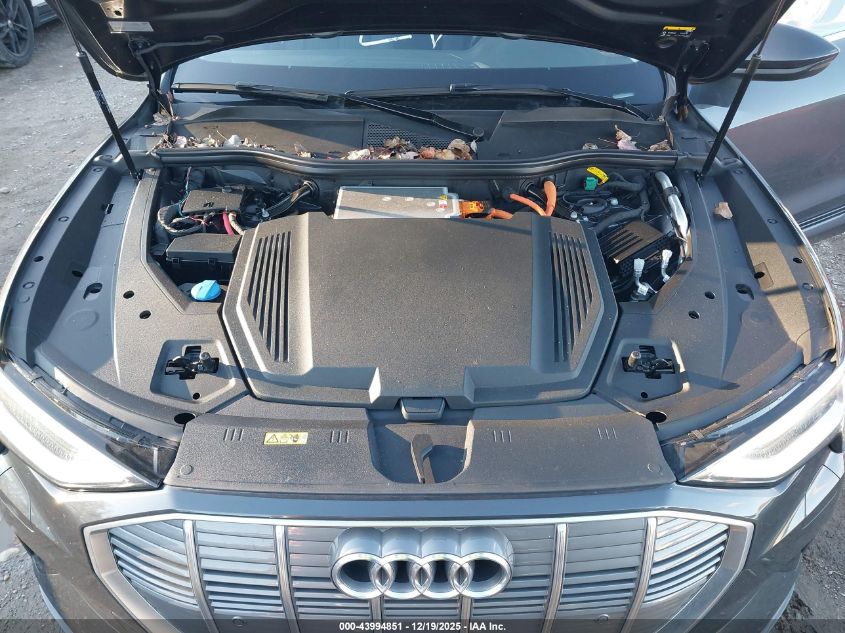 2021 Audi E-Tron Premium Quattro VIN: WA1AAAGE0MB020567 Lot: 43994851