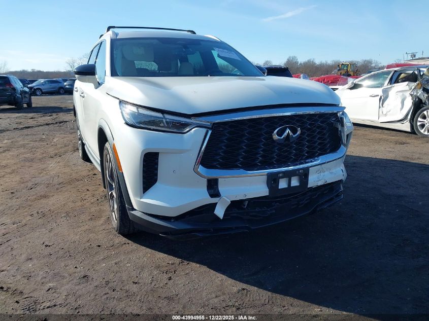 2023 Infiniti Qx60 Luxe Awd VIN: 5N1DL1FS3PC373724 Lot: 43994955