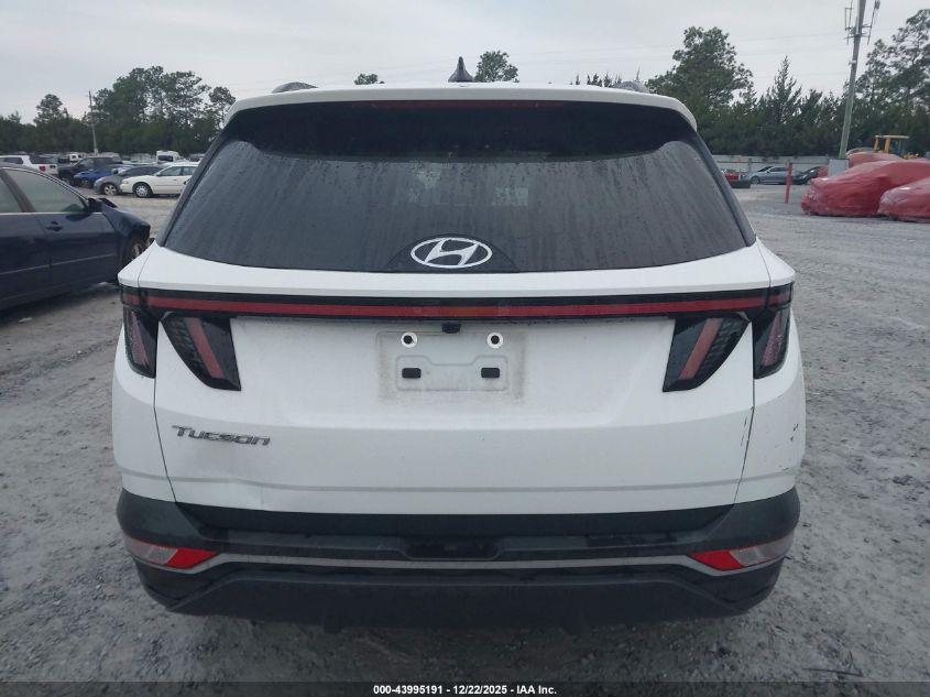2023 Hyundai Tucson Sel VIN: 5NMJF3AE6PH253753 Lot: 43995191