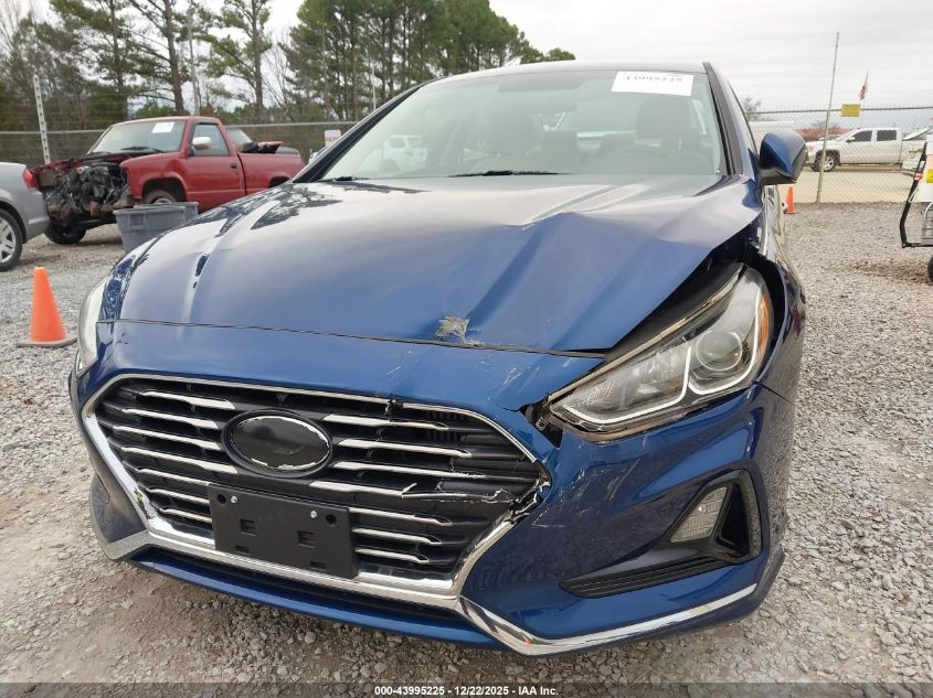2019 Hyundai Sonata Eco VIN: 5NPE24AA6KH802363 Lot: 43995225