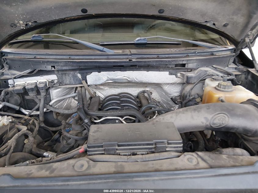 2013 Ford F-150 Stx VIN: 1FTFX1EF0DFD11584 Lot: 43995328