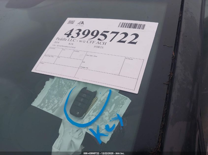 2014 Kia Forte Ex VIN: KNAFX4A86E5123018 Lot: 43995722