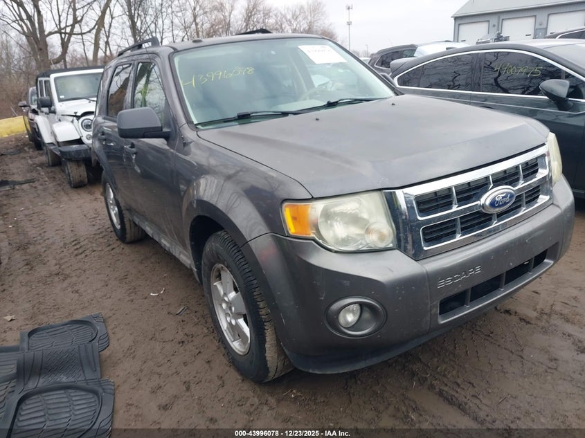 2010 Ford Escape Xlt