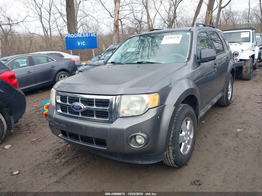 2010 Ford Escape Xlt