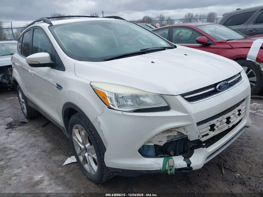 1FMCU9H98DUB42938 2013 Ford Escape Sel auction photo 1