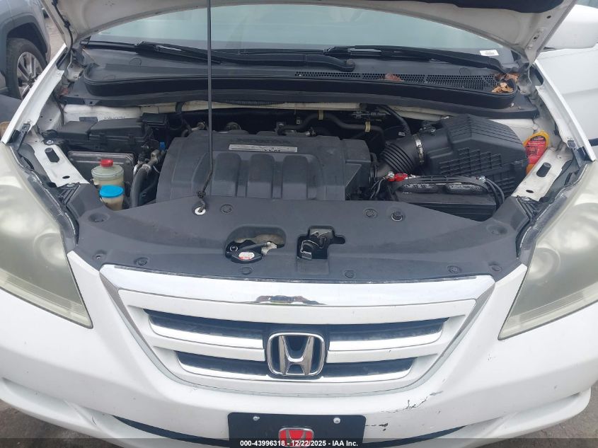 2007 Honda Odyssey Ex-L VIN: 5FNRL38797B454423 Lot: 43996318