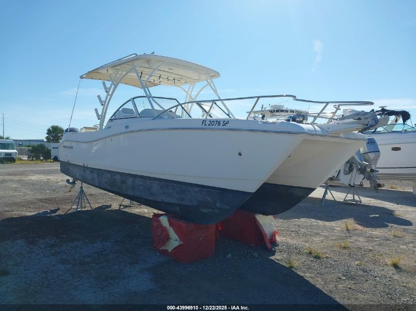 2020 World Cat Other