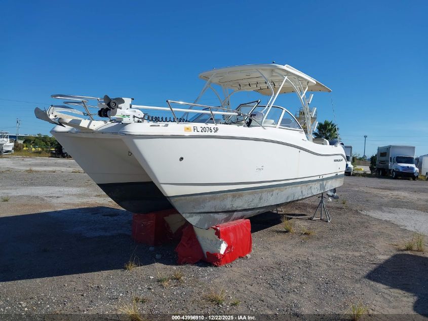 2020 World Cat Other