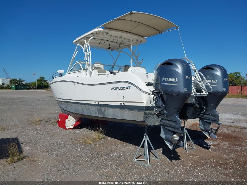 2020 World Cat Other