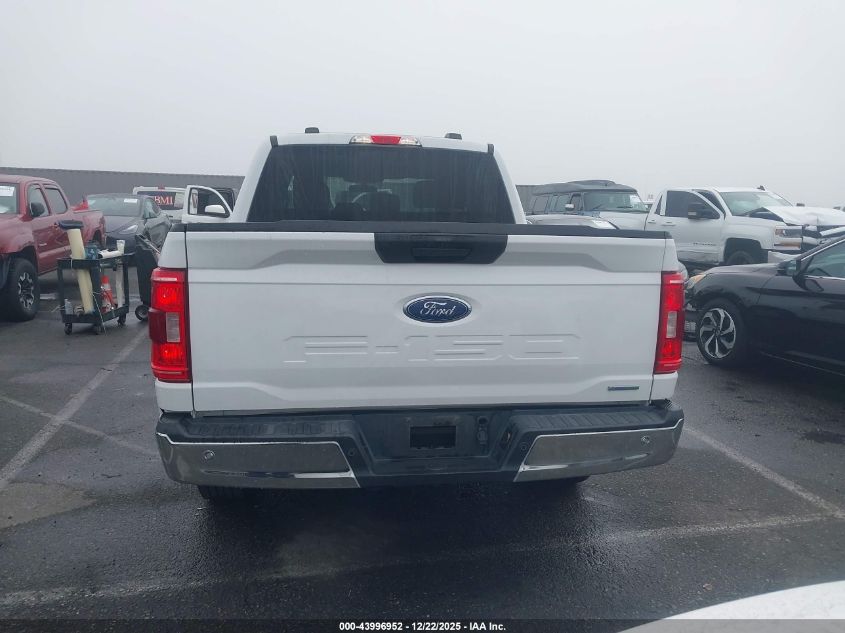 2023 Ford F-150 Xlt VIN: 1FTEW1C83PKD23601 Lot: 43996952