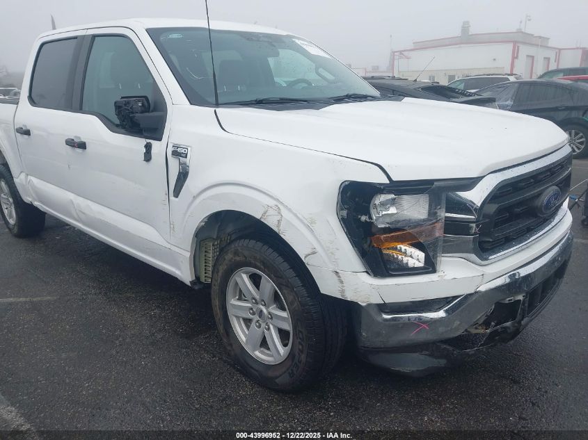 2023 Ford F-150 Xlt VIN: 1FTEW1C83PKD23601 Lot: 43996952