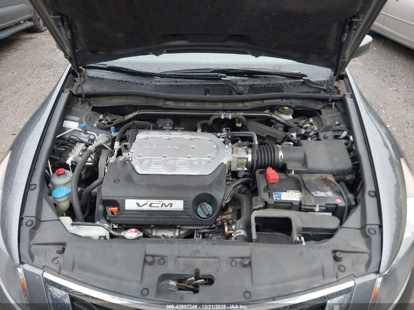 2009 Honda Accord 3.5 Ex-L VIN: 1HGCP36899A029626 Lot: 43997246