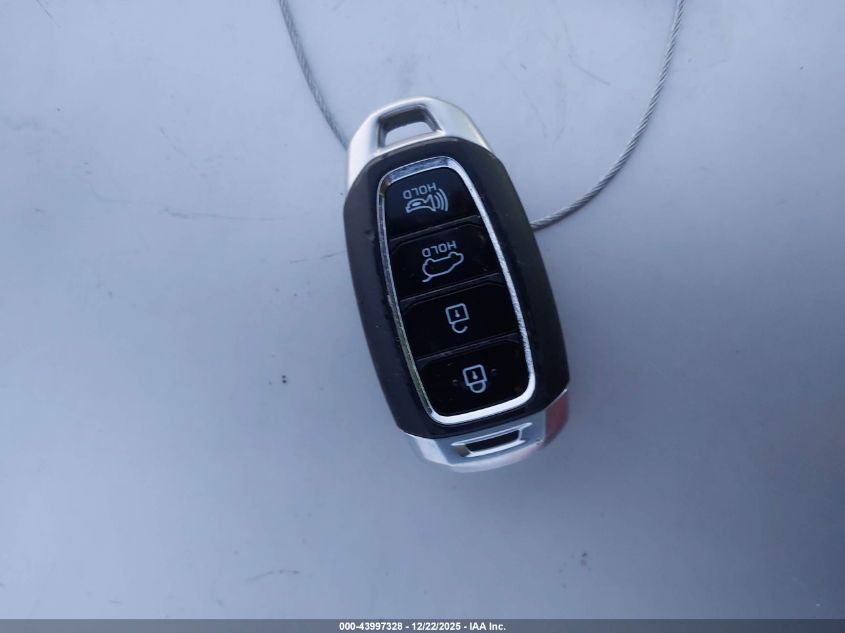 2020 Hyundai Santa Fe Limited VIN: 5NMS5CAD5LH245698 Lot: 43997328