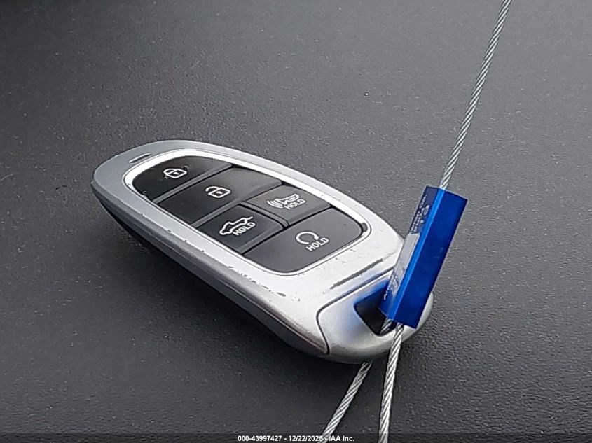 2024 Hyundai Santa Cruz Limited VIN: 5NTJEDDF6RH117613 Lot: 43997427