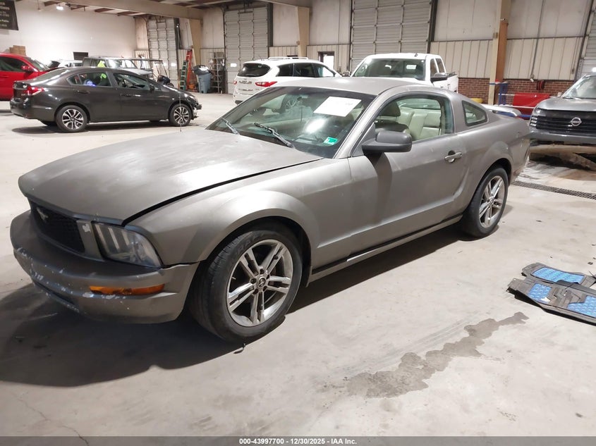 2005 Ford Mustang V6 Deluxe/V6 Premium